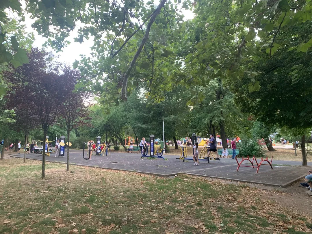 Esquiador de Fondo en Calisthenics Park at Aleea Circului, București – foto 4 de 5