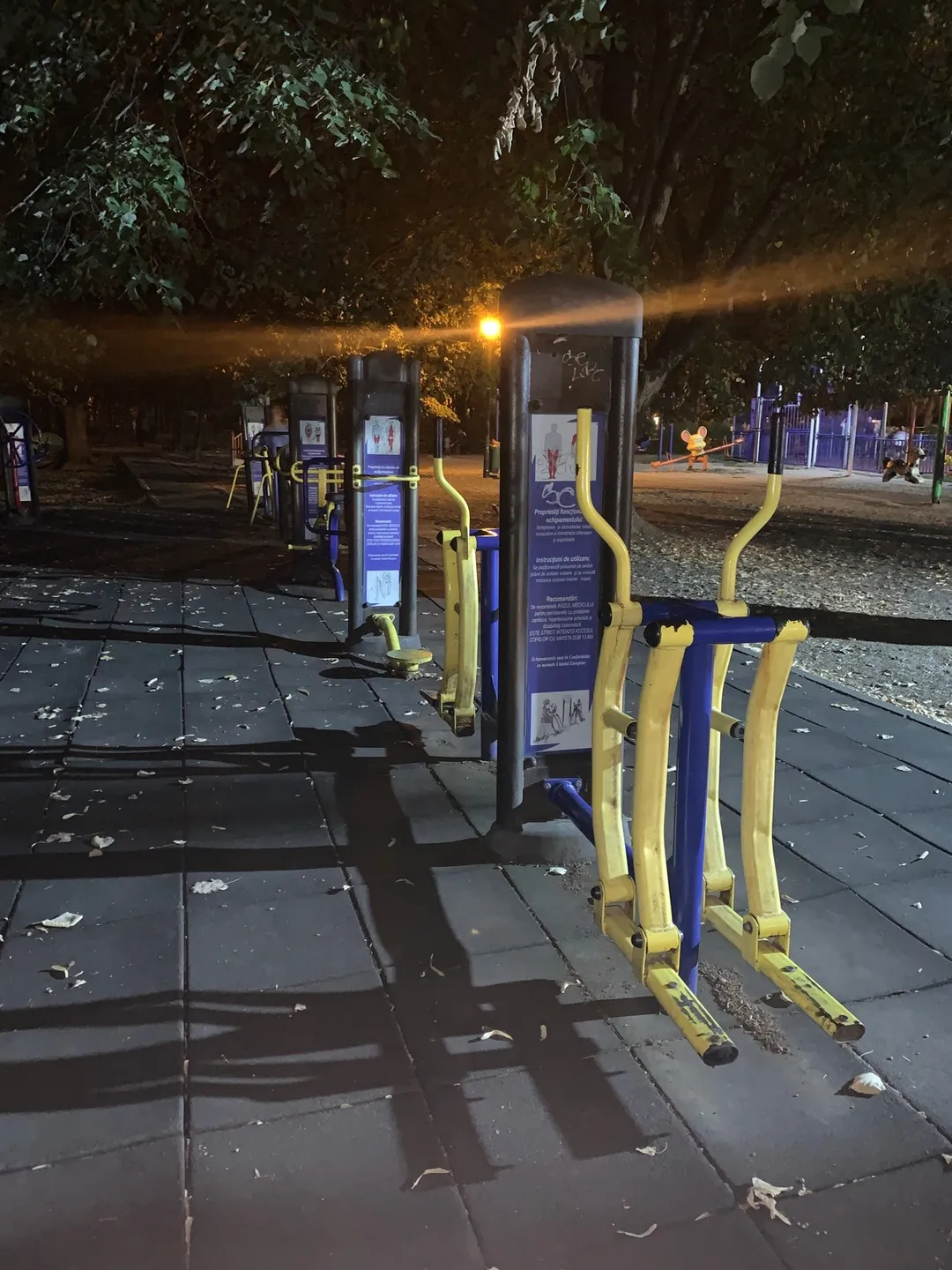Caminador Aéreo en Calisthenics Park at Șoseaua Nordului, București – foto 1 de 3