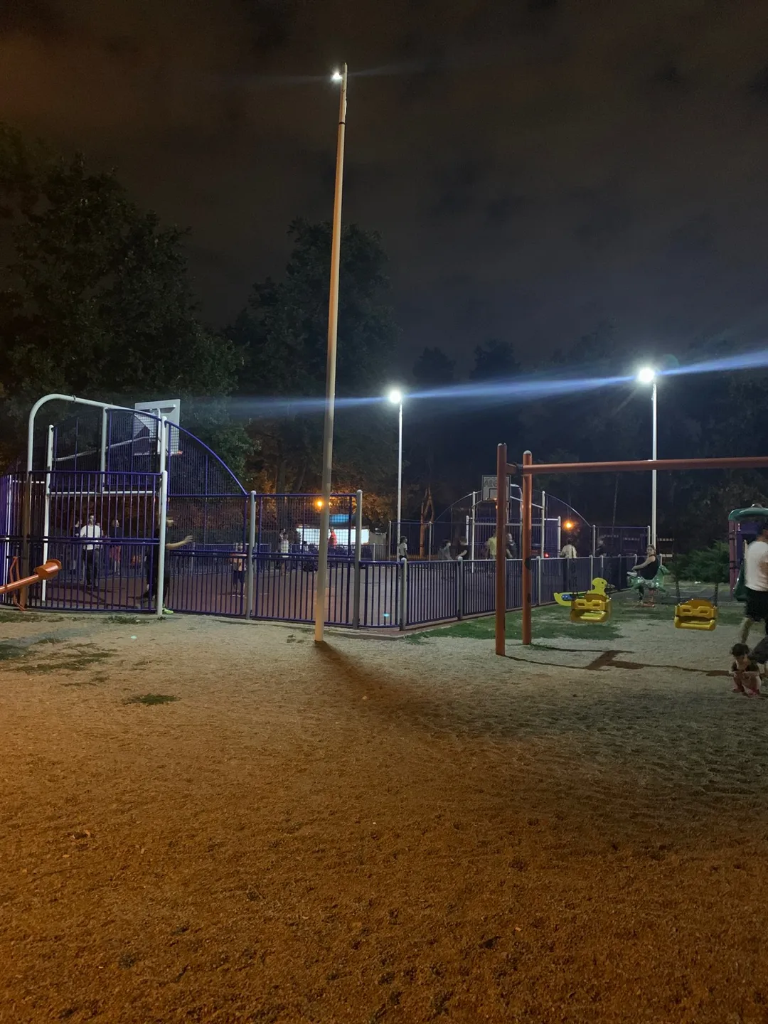 Esquiador Aéreo en Calisthenics Park at Șoseaua Nordului, București – foto 3 de 3