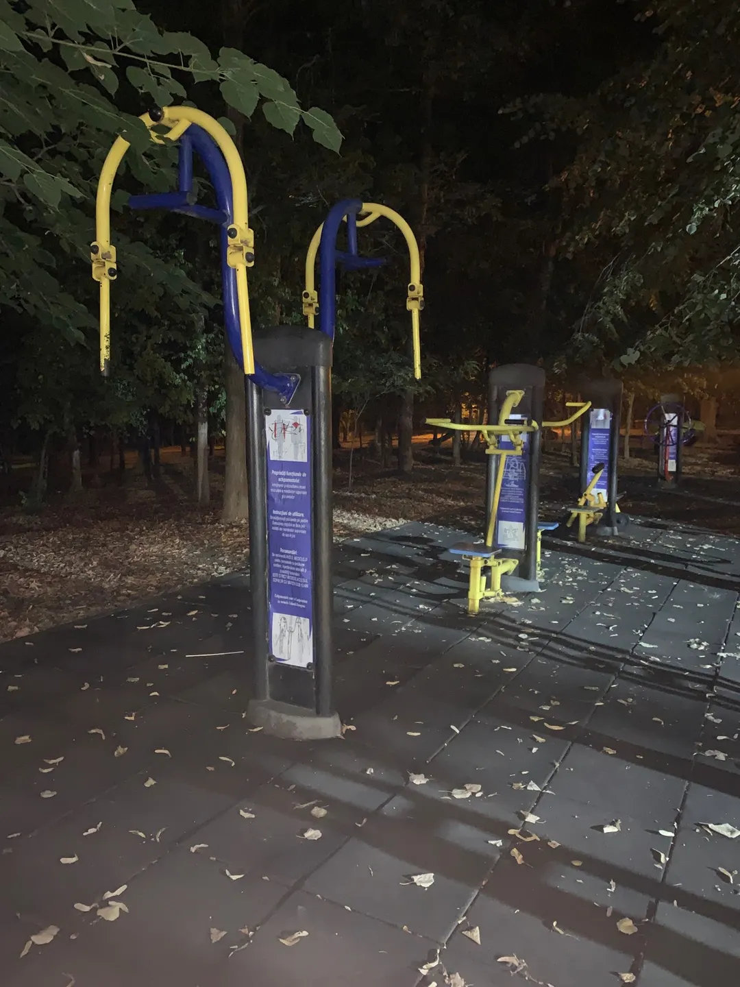 Esquiador de Fondo en Calisthenics Park at Șoseaua Nordului, București – foto 2 de 3