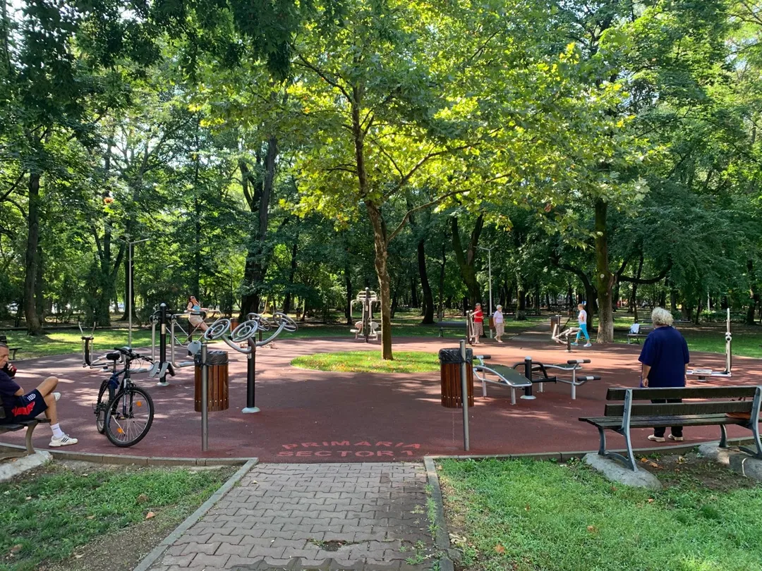 Barres parallèles à Calisthenics Park at Strada Arhitect Ion Mincu, București – photo 1 sur 1