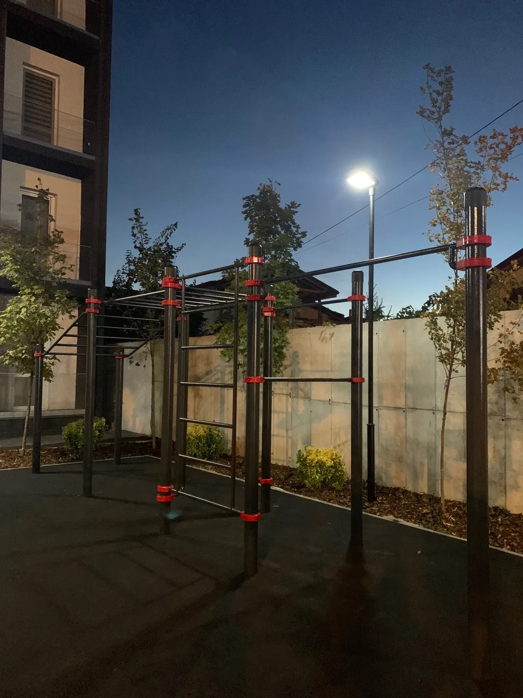 Barres de singe à Calisthenics Park at Strada Matei Millo, Voluntari #wp3668 – photo 4 sur 4