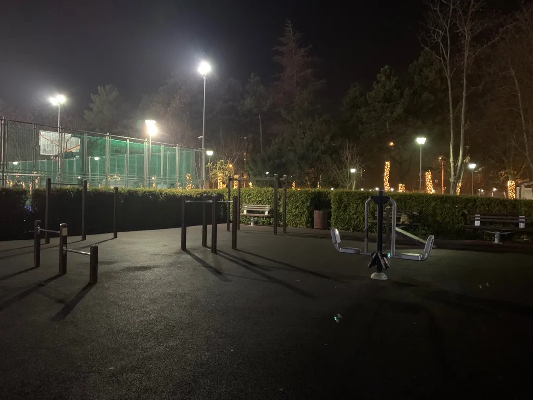 Hangelstange bei Calisthenics Park at Pasarela, București – Foto 3 von 3