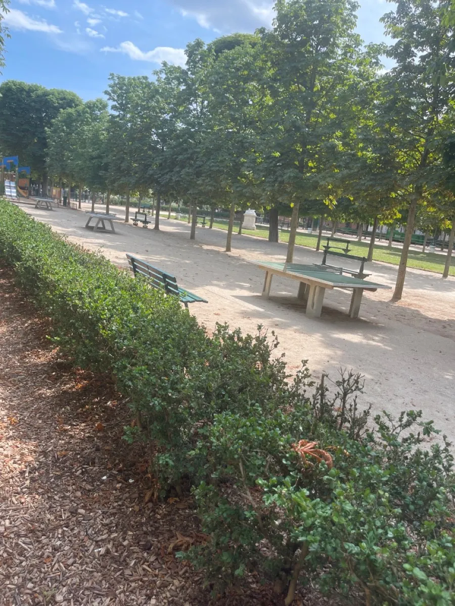 Calisthenics Park at Allée Denise Vernay, Paris – photo 1 sur 1