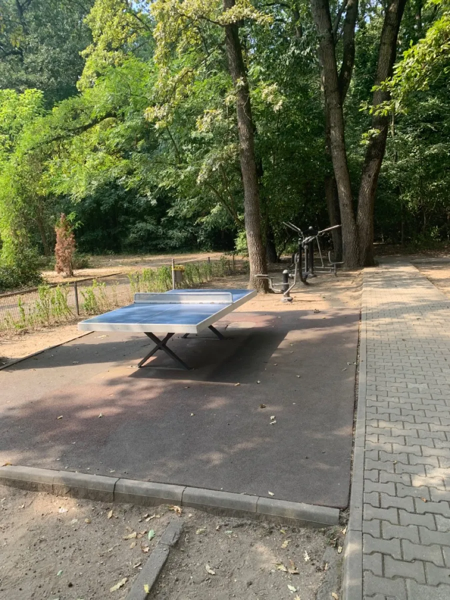 Simulator de schi fond la Calisthenics Park at Aleea Privighetorilor, București – fotografia 2 din 3