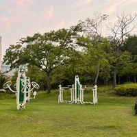 Outdoor Gym in 능곡동, 시흥시 - thumbnail 2