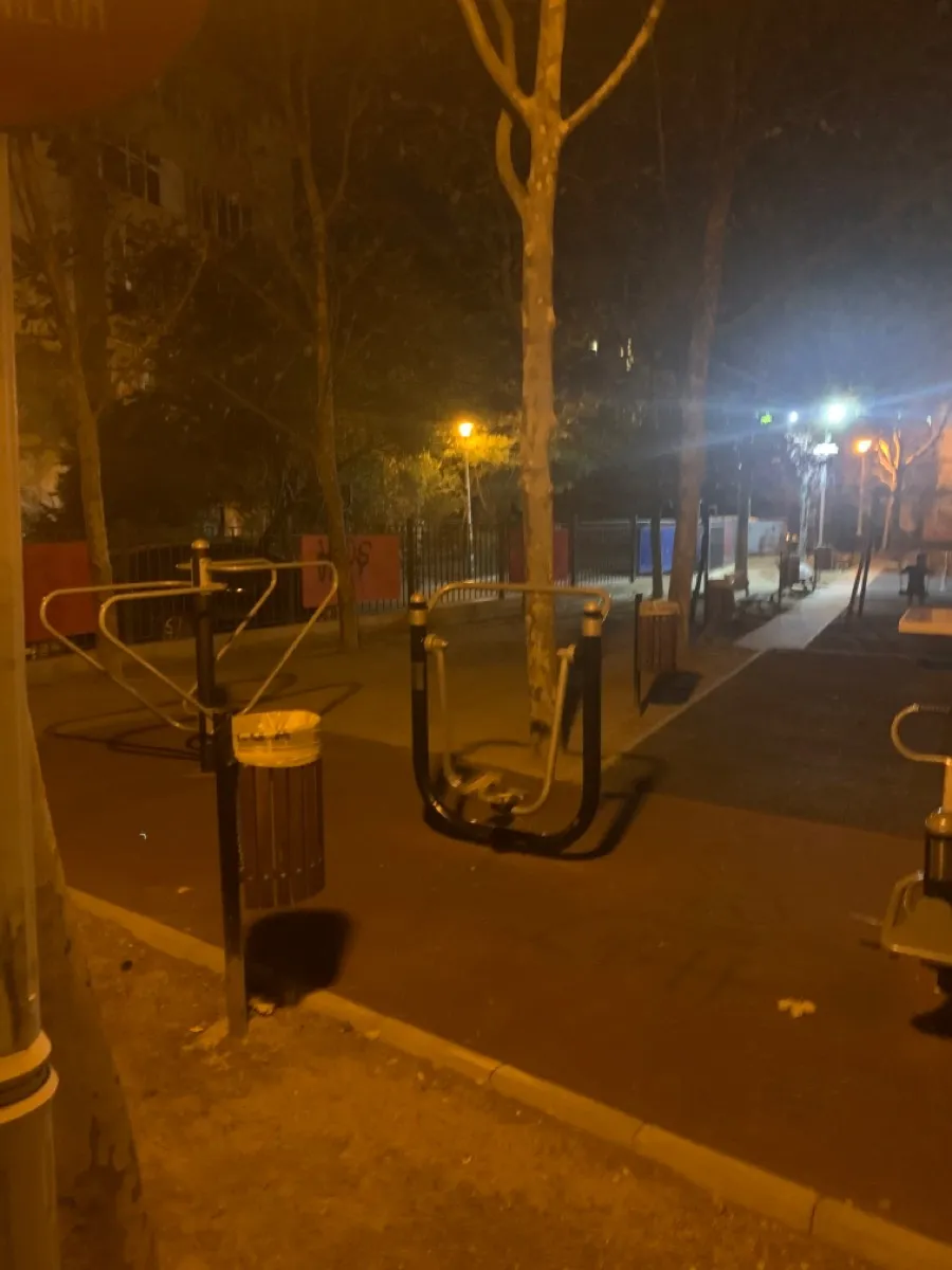 Marcheur aérien à Calisthenics Park at Strada Smaranda Brăescu, București – photo 2 sur 2