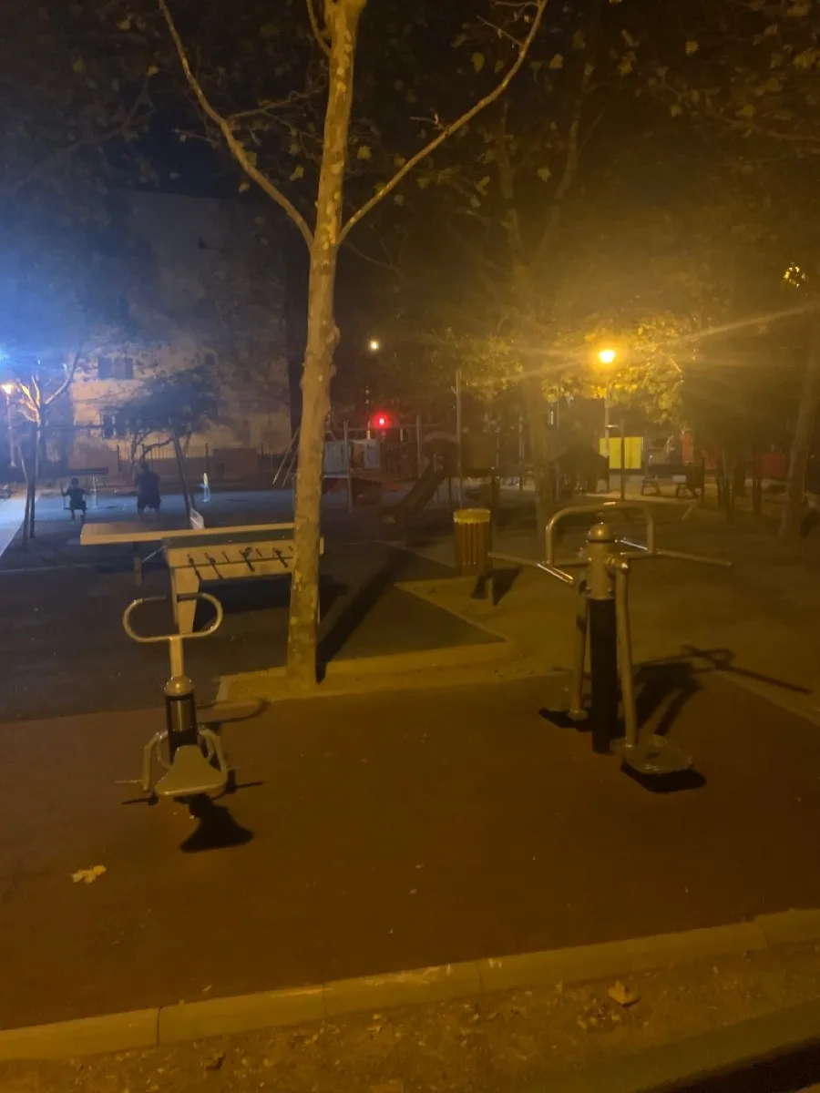 Barres parallèles à Calisthenics Park at Strada Smaranda Brăescu, București – photo 1 sur 2