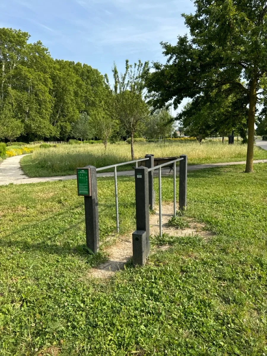 Barres parallèles à Calisthenics Park at Allée des Platanes, Rognonas – photo 2 sur 2