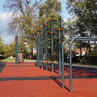 Calisthenics Park at Strada Tipografilor, Sibiu - thumbnail 5