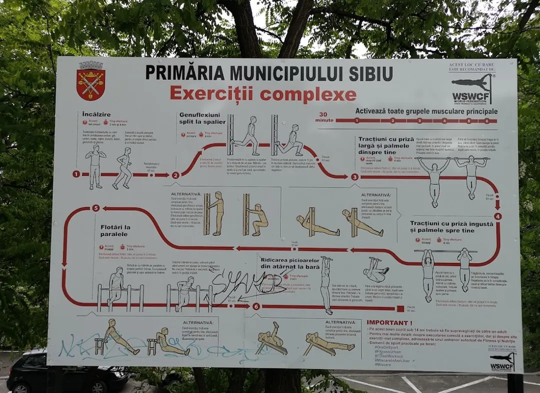Шведская стенка на площадке Calisthenics Park at Strada Tipografilor, Sibiu – фото 3 из 7