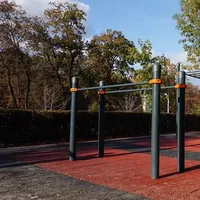 Calisthenics Park at Strada Tipografilor, Sibiu - thumbnail 7