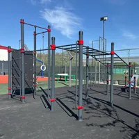 Calisthenics Park at Strada Buziaș, Voluntari - thumbnail 5