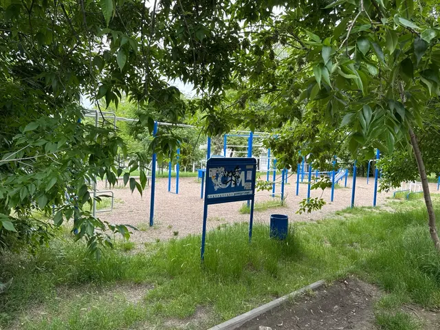 Calisthenics Park at Bulevardul Traian, Chișinău #wp3729
