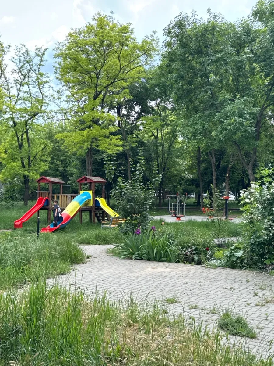 Spalier la Calisthenics Park at Bulevardul Traian, Chișinău #wp3729 – fotografia 3 din 3