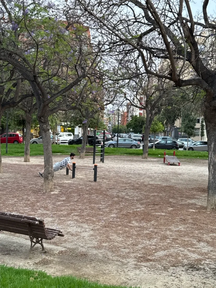 Espalier à Calisthenics Park at Avinguda de Blasco Ibáñez, València – photo 3 sur 3