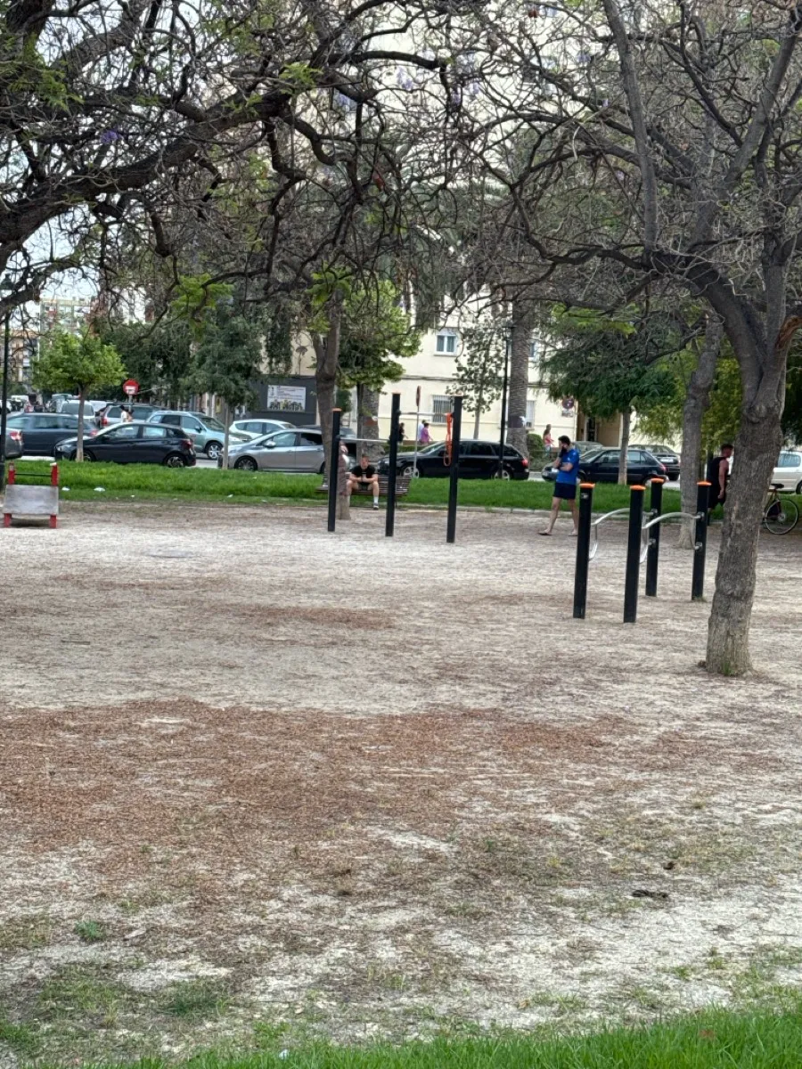 Barres parallèles à Calisthenics Park at Avinguda de Blasco Ibáñez, València – photo 2 sur 3
