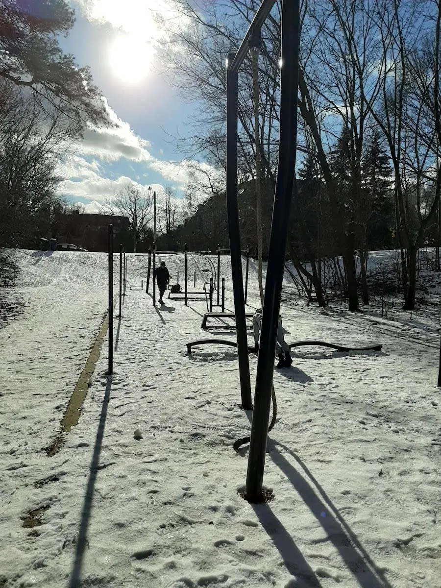 Station de corde à grimper à Calisthenics Park at St Edmund's Drive, Toronto – photo 3 sur 3