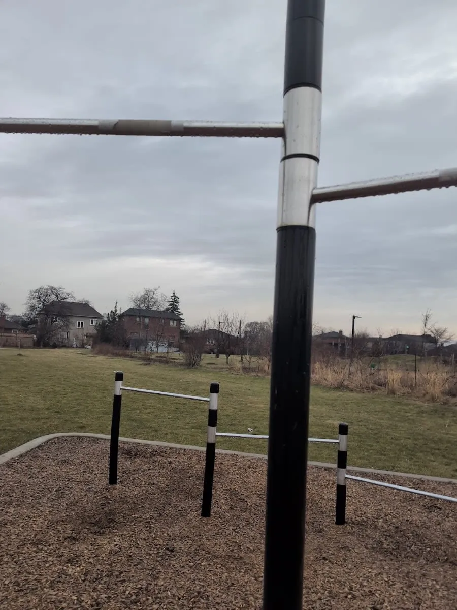 Турнік на майданчику Calisthenics Park at Highway 401 Collector, Toronto – фото 1 з 2