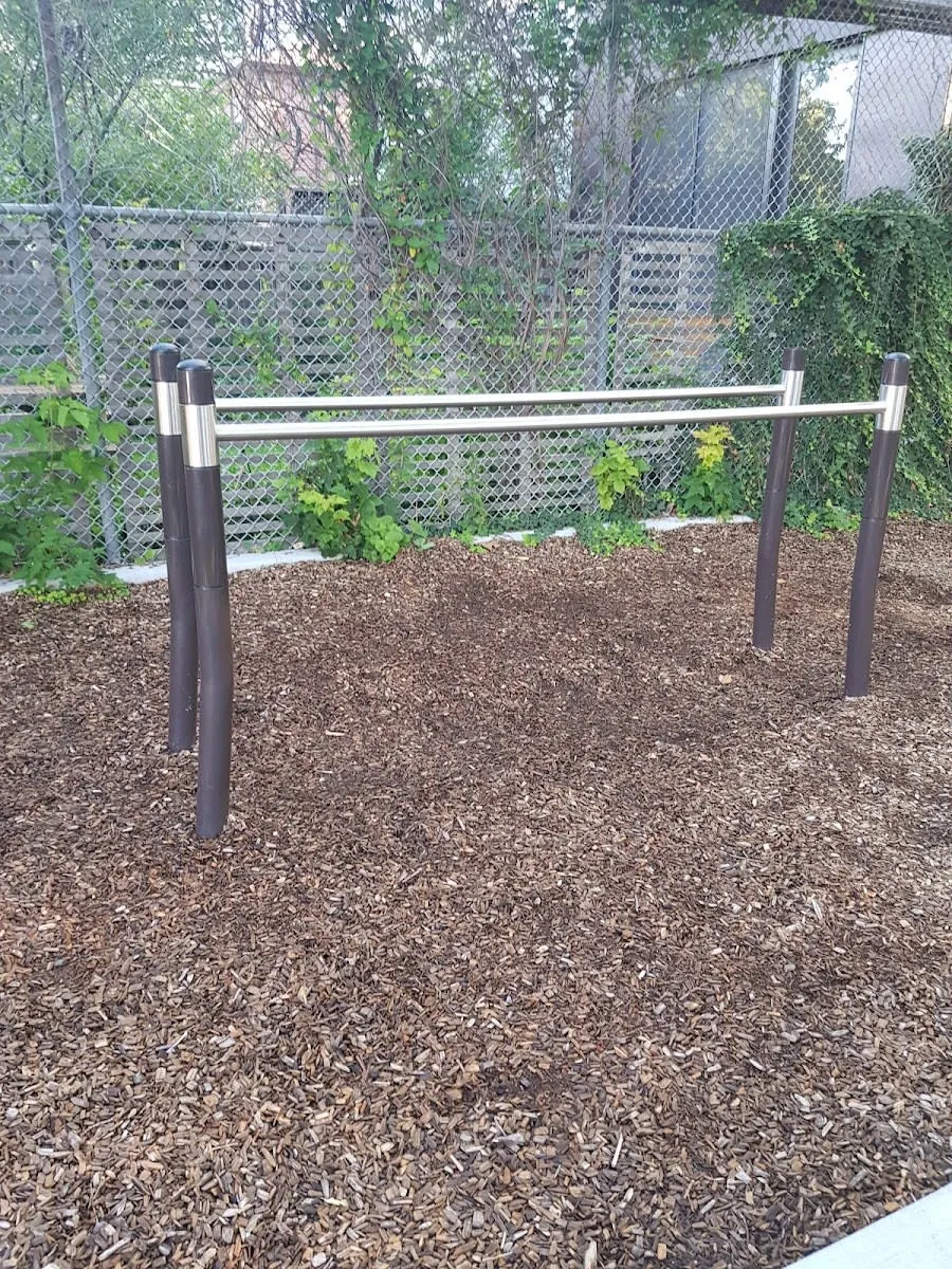 Jump Platform at Calisthenics Park at Westmoreland Avenue, Toronto – photo 4 of 4