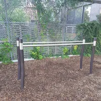 Calisthenics Park at Westmoreland Avenue, Toronto - thumbnail 4