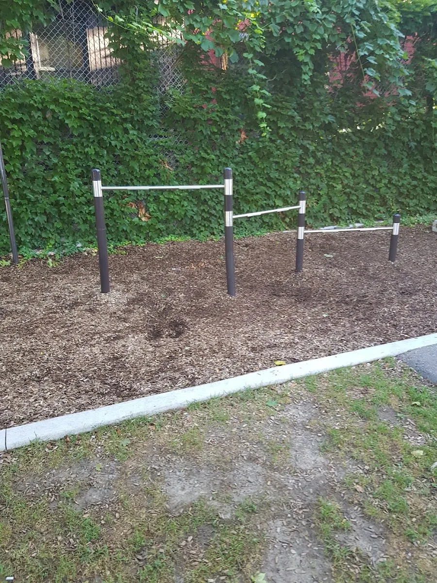 Pull Up Bar at Calisthenics Park at Westmoreland Avenue, Toronto – photo 1 of 4