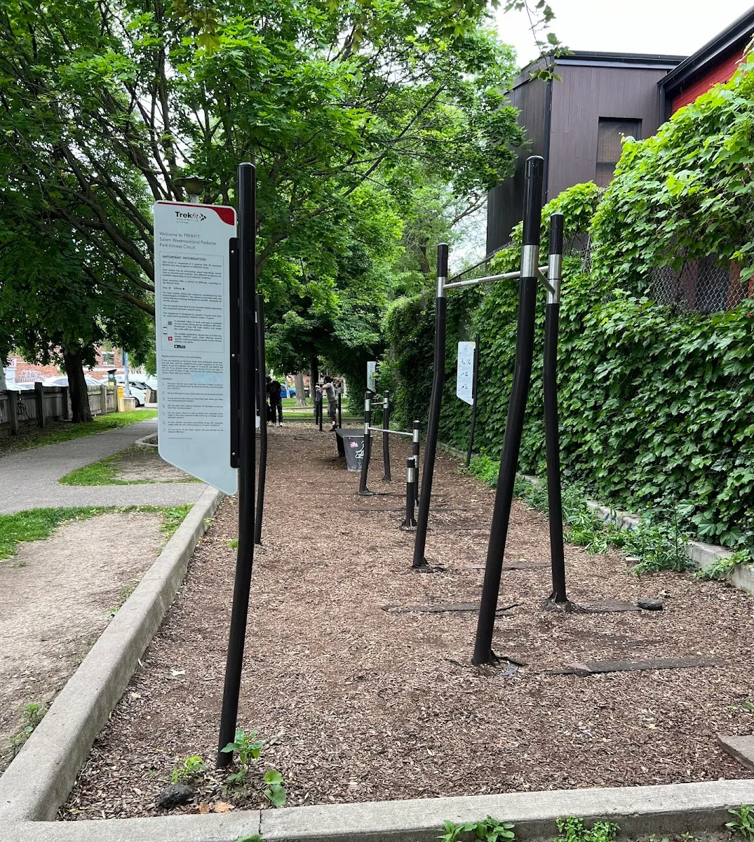 Parallel Gym Bars at Calisthenics Park at Westmoreland Avenue, Toronto – photo 2 of 4