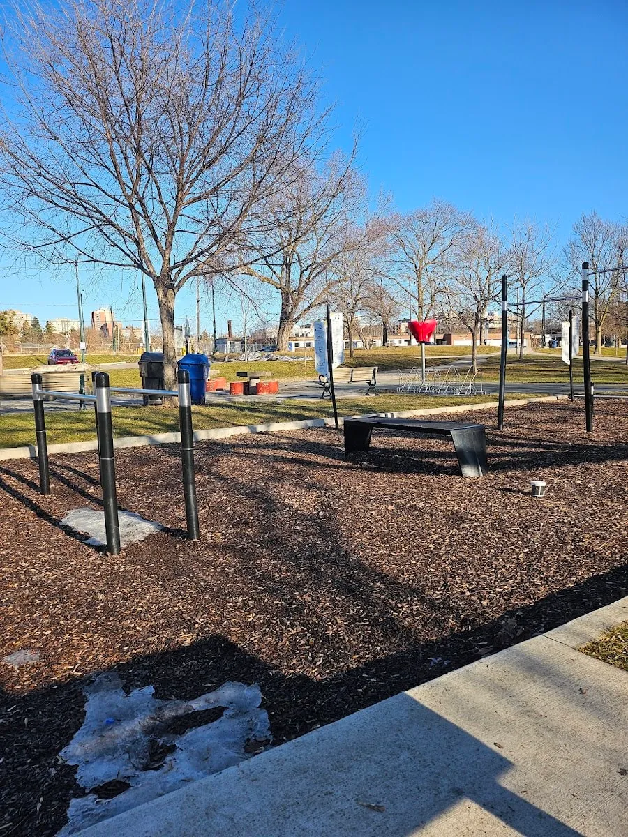 Jump Platform at Calisthenics Park at Municipal Drive, Toronto – photo 3 of 4