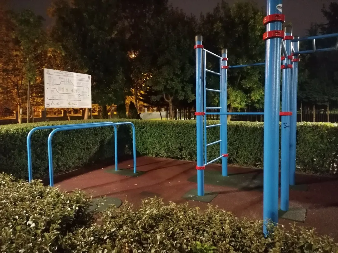 Шведська стінка на майданчику Calisthenics Park at Strada Răușeni, București – фото 3 з 4