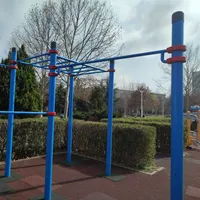 Calisthenics park