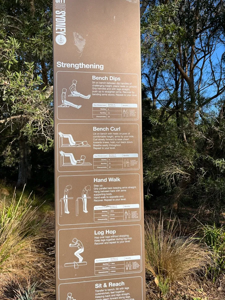Plateforme de saut à Calisthenics Park at Euston Road, Sydney – photo 2 sur 6