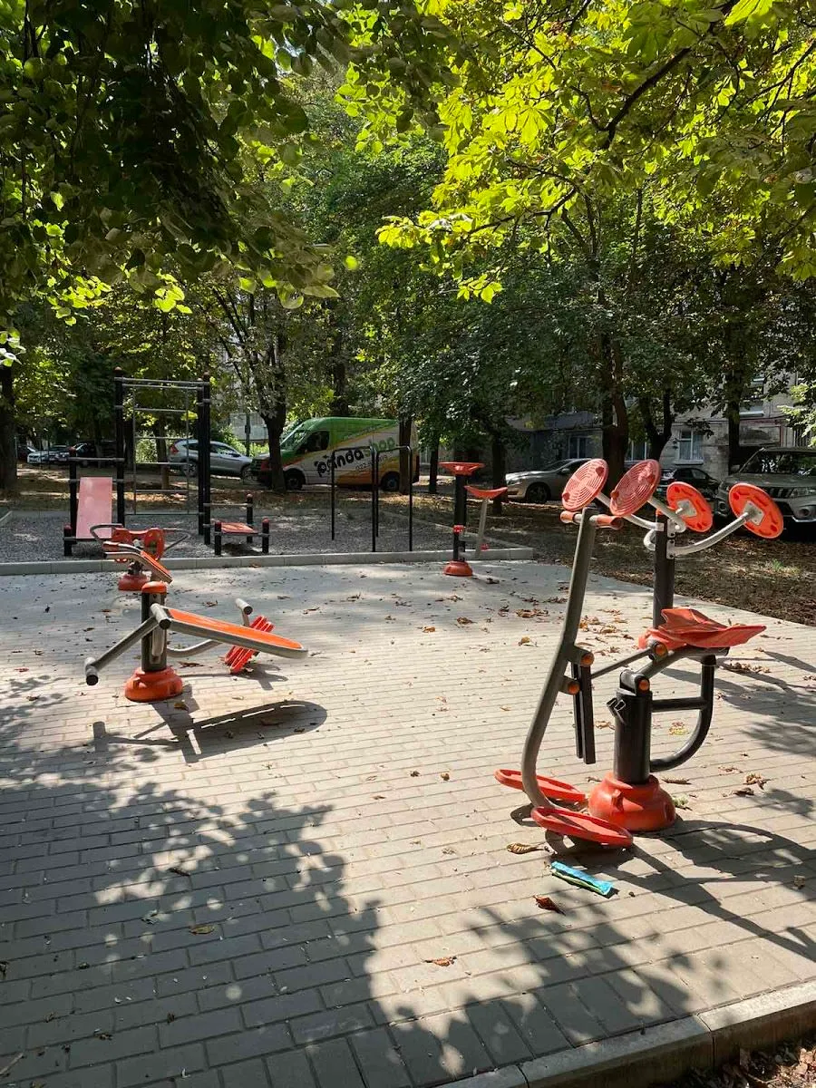 Wall Bars at Calisthenics Park at Strada Doina și Ion Aldea-Teodorovici, Chișinău – photo 3 of 3
