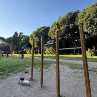 Calisthenics Park at Via di Valle delle Camene, Roma - thumbnail 4