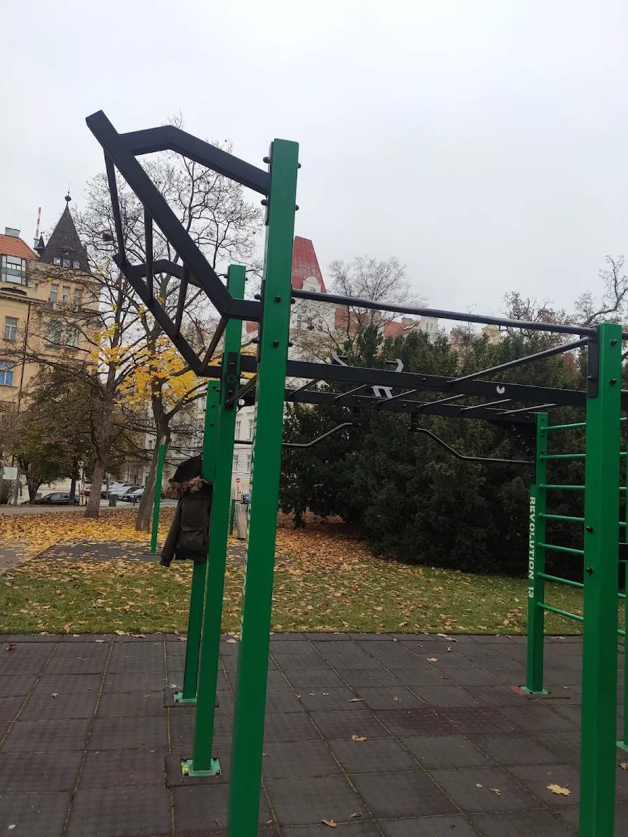 Barras Paralelas en Calisthenics Park at Chopinova, Praha – foto 2 de 5