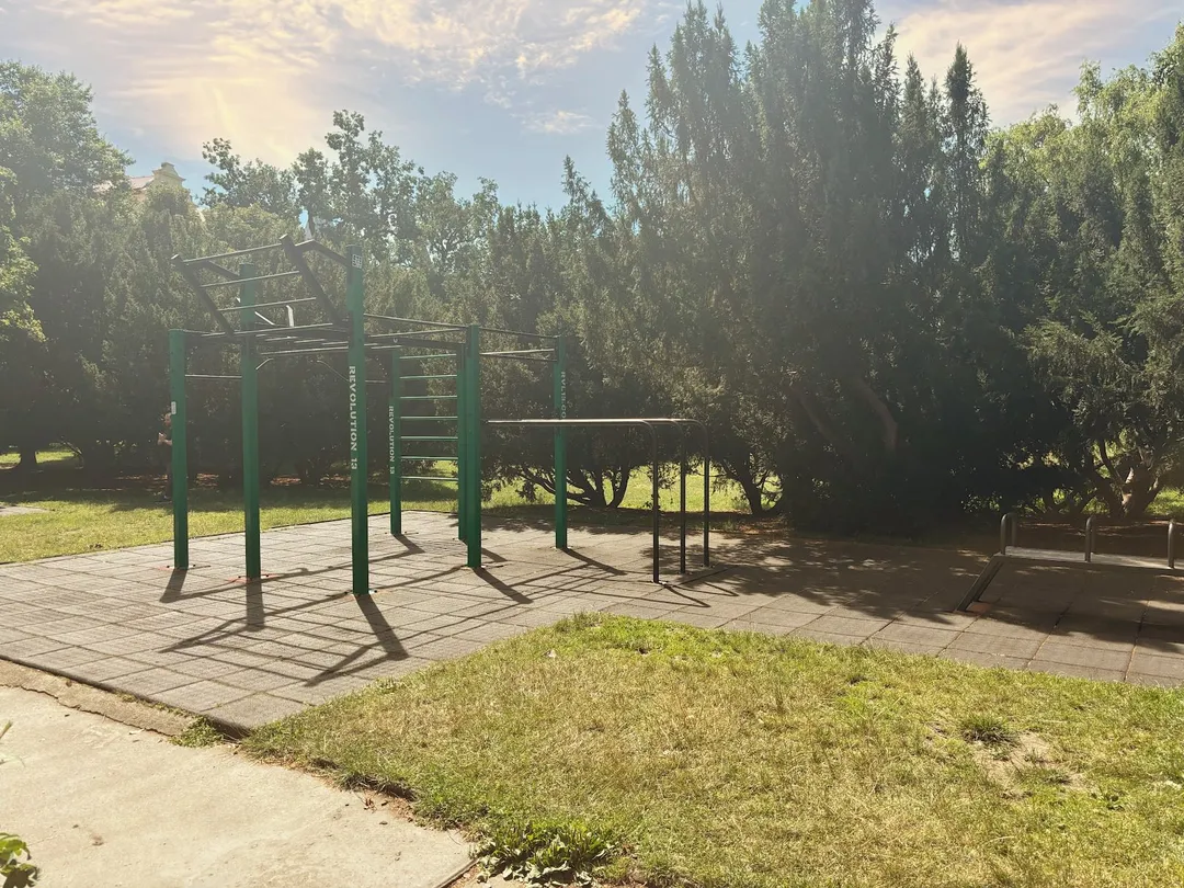 Barras de Mono en Calisthenics Park at Chopinova, Praha – foto 4 de 5