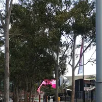 Calisthenics Park at Courtyard of Welcoming Fragrance, Sydney - thumbnail 2