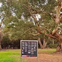 Calisthenics Park at Great Eastern Highway, Perth #wp3811 - thumbnail 2