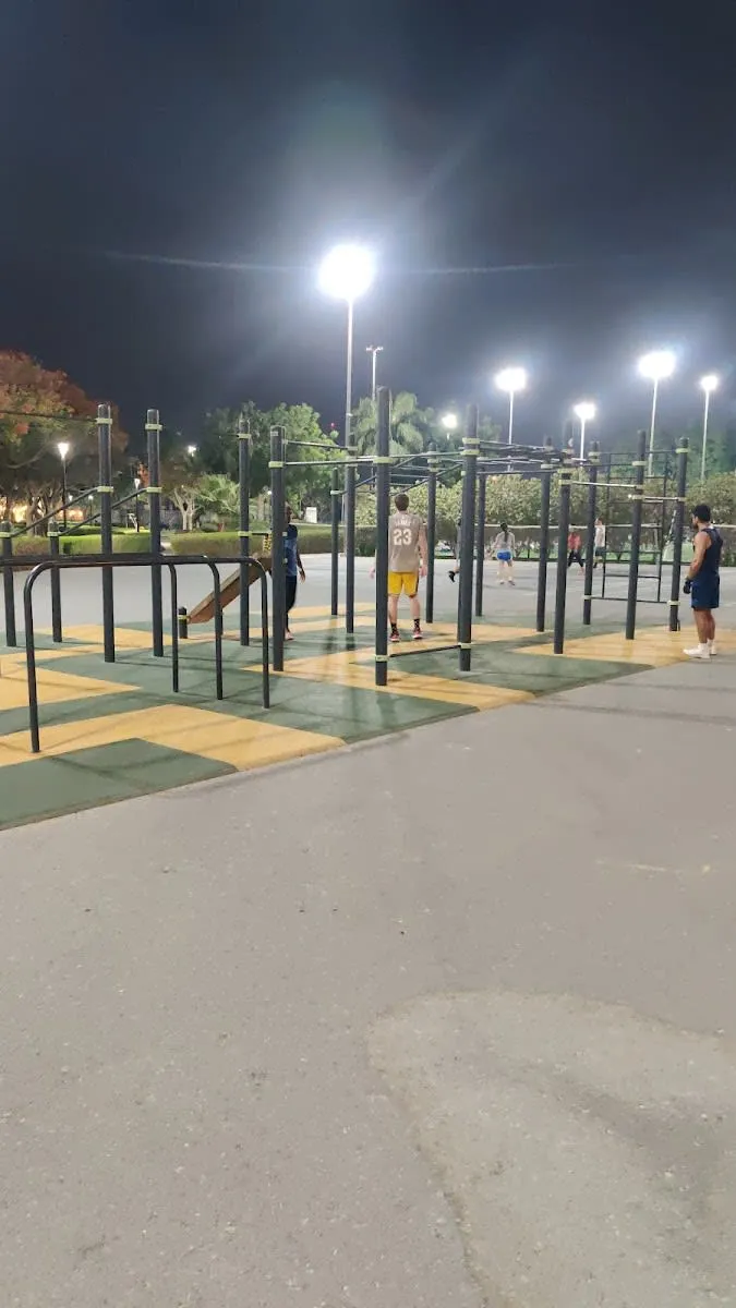Bară de tracțiuni la Calisthenics Park at شارع البرشاء 2, دبي – fotografia 1 din 1