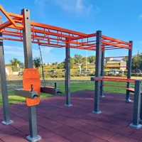 Struttura calisthenics — Gym