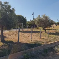Parco Calisthenics — Park