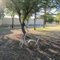 New Age Parco Calisthenics — Park