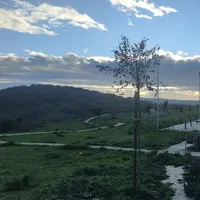 Calisthenics Park at Via Giambattista Tiepolo, Nùgoro/Nuoro - thumbnail 2