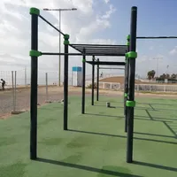 Calisthenics Park at Passeig Marítim de la Mar Bella, Barcelona - thumbnail 2