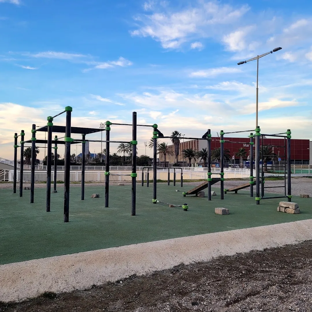 Barres de singe à Calisthenics Park at Passeig Marítim de la Mar Bella, Barcelona – photo 3 sur 4