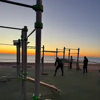 Calisthenics — Gym