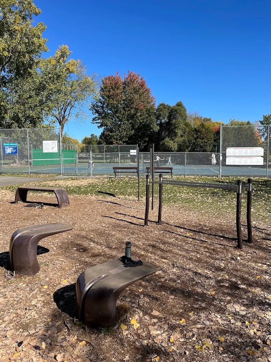 Parallel Gym Bars at Calisthenics Park at Rideau River Eastern Pathway, Ottawa #wp3854 – photo 2 of 5