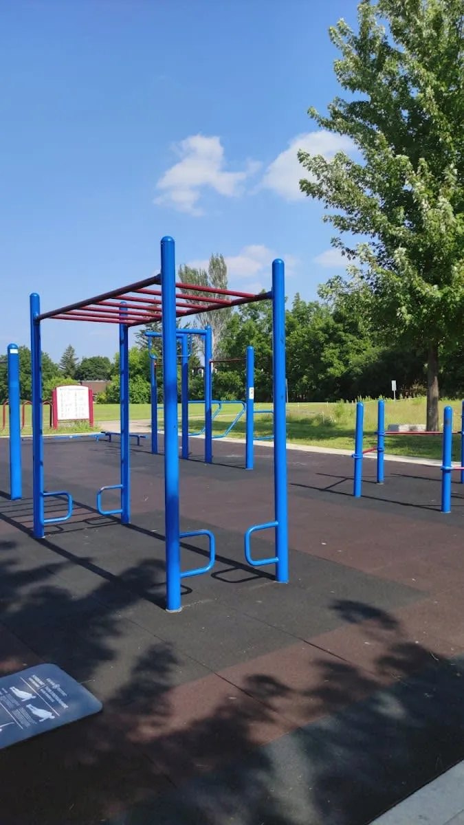 Monkey Bars la Calisthenics Park at B.F.I.T. Park, Waterloo – fotografia 4 din 4