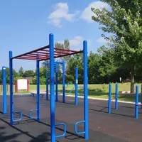 Calisthenics Park at B.F.I.T. Park, Waterloo - thumbnail 4