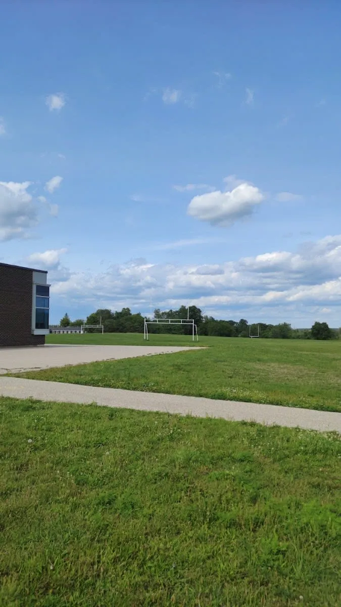Spalier la Calisthenics Park at B.F.I.T. Park, Waterloo – fotografia 3 din 4