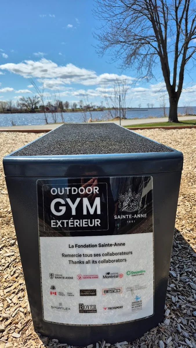 Parallel Gym Bars at Calisthenics Park at Piste cyclable des Berges, Montréal – photo 2 of 3